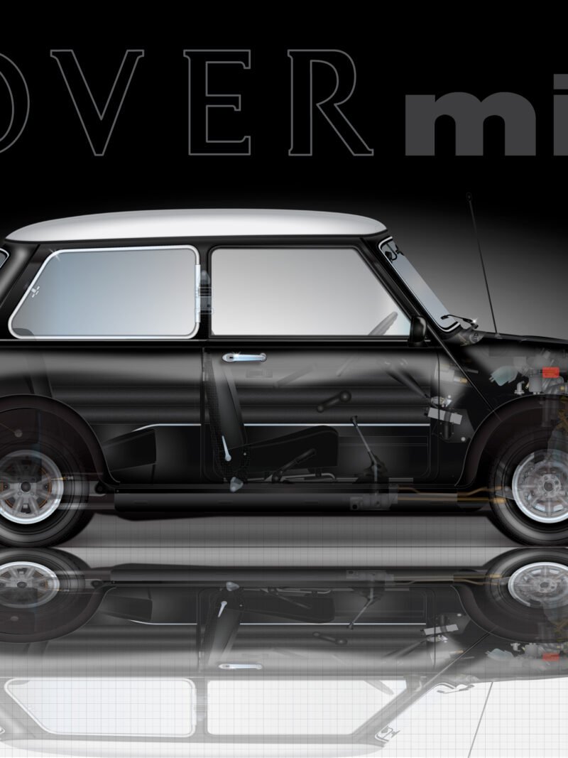 Rover Mini